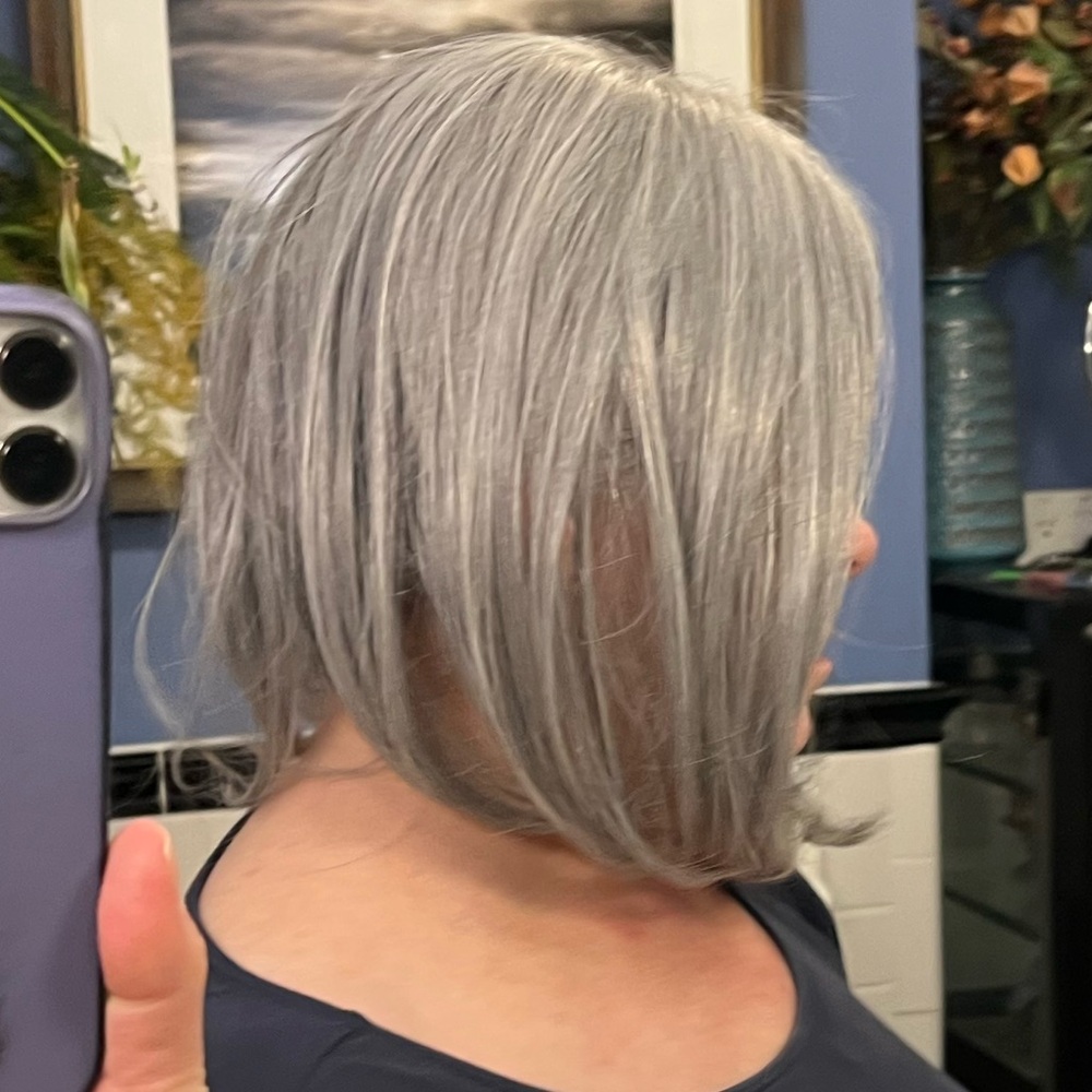 Elegant Silver Gray Women's Hair Wig - Picture 14 of 16
